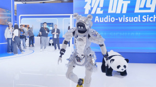 中文精品视频一区二区在线观看